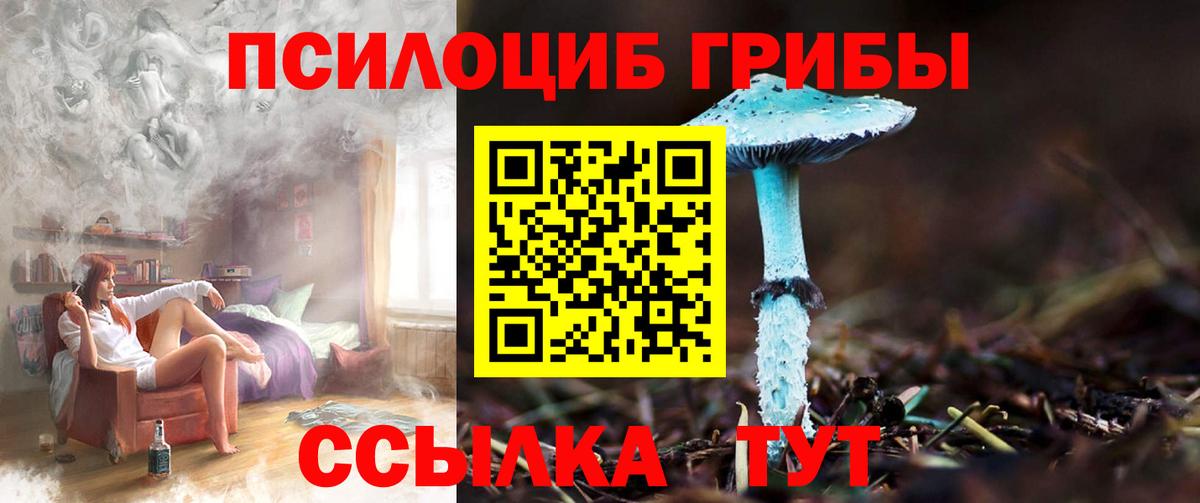 Галлюциногенные грибы прущие грибы  Вход с VPN  Псилоцибиновые грибы Cubensis  Донской 