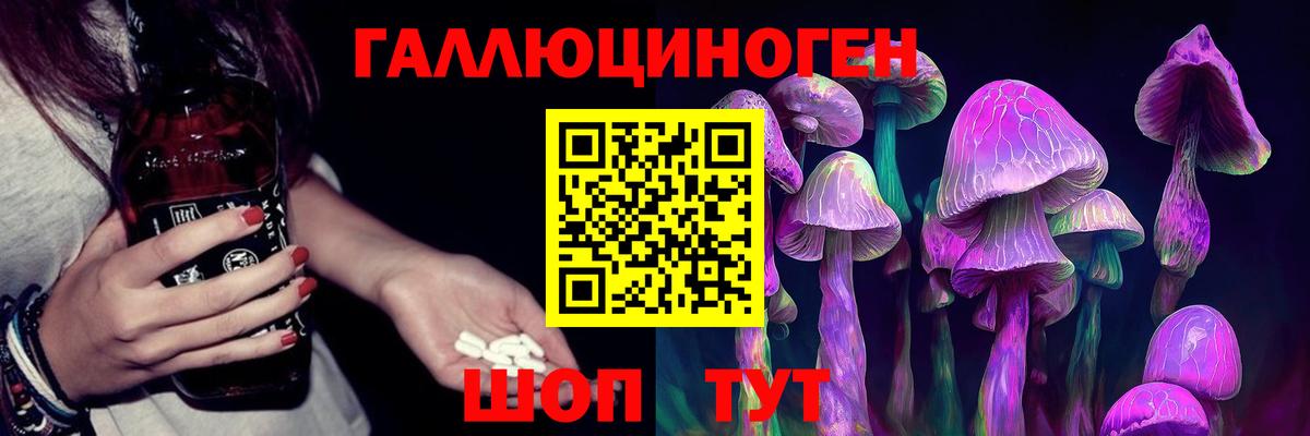 Псилоцибиновые грибы Psilocybine cubensis Донской